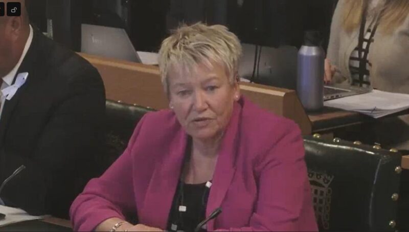 Rachel Taylor MP questioning witnesses during a Women and Equalities Select Committee inquiry into intimate image abuse.
